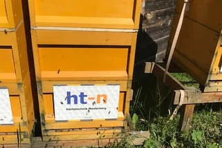 Bienenjahr '18 Bild 209