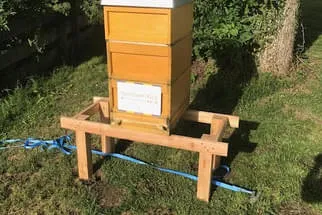 Bienenjahr '18 Bild 162