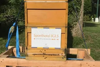 Bienenjahr '18 Bild 163
