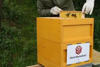 Bienenjahr '18 Bild 311