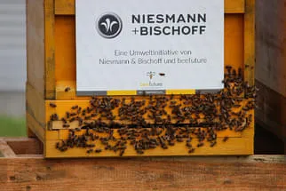 Bienenjahr '18 Bild 182