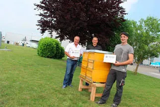 Bienenjahr '18 Bild 181