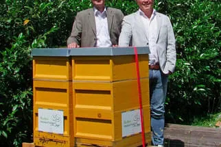 Bienenjahr '18 Bild 177