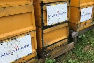 Bienenjahr '18 Bild 188