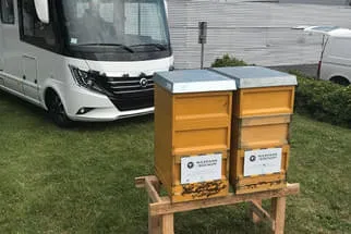 Bienenjahr '18 Bild 166