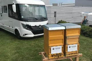 Bienenjahr '18 Bild 165