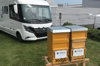 Bienenjahr '18 Bild 167