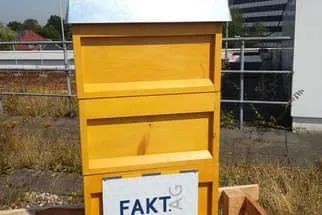 Bienenjahr '18 Bild 147
