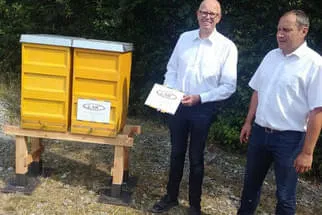 Bienenjahr '18 Bild 146