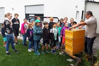 Bienenjahr '18 Bild 112