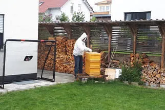 Bienenjahr '18 Bild 113