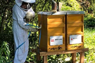Bienenjahr '18 Bild 95