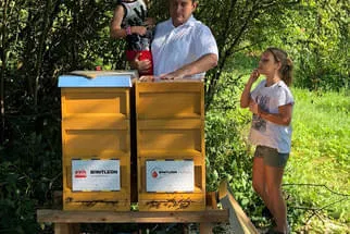 Bienenjahr '18 Bild 98