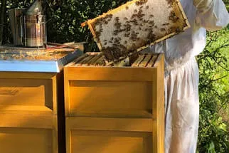 Bienenjahr '18 Bild 93