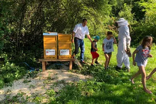 Bienenjahr '18 Bild 92