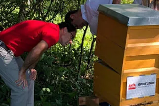 Bienenjahr '18 Bild 90