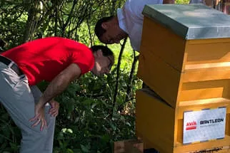 Bienenjahr '18 Bild 89