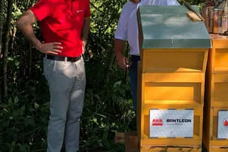Bienenjahr '18 Bild 87