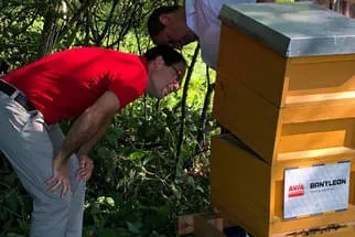 Bienenjahr '18 Bild 88