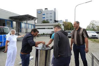 Settele Bild 7