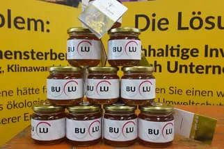 Bulu