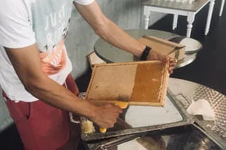 Bürstner  Bild 0