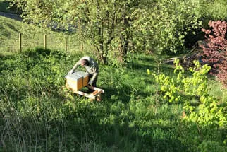 Fetzer Bild 22