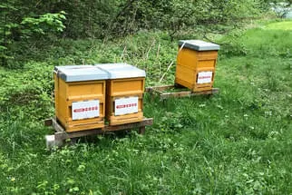 Fetzer Bild 41