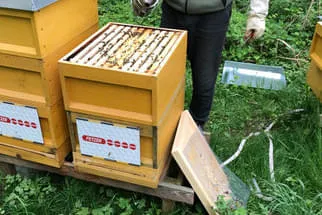 Fetzer Bild 25
