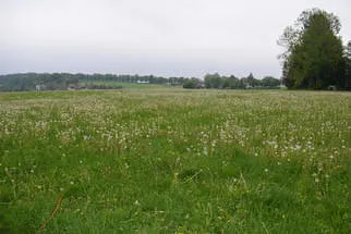 Fokus Zukunft Bild 18