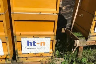 HTN  Bild 0