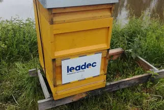 Leadec Bild 14