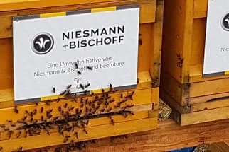 Niesmann Bischoff Bild 42