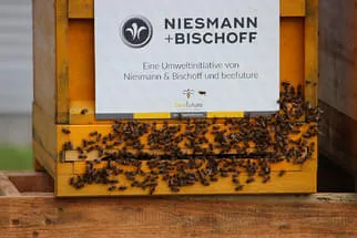 Niesmann Bischoff Bild 13