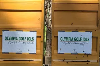 Olympia Golf Igls Bild 35