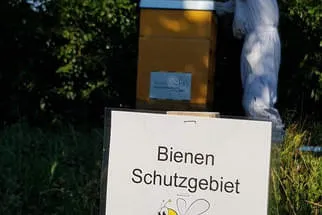 Recheis Bild 15