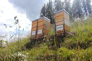 Seidl Alm Bild 0