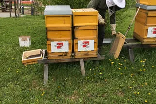 Bäckerei Staib Bild 23