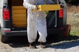So arbeitet der Imker  Bild 1
