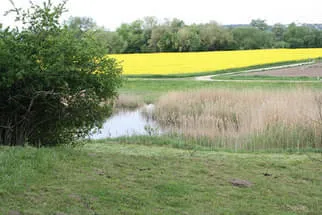 Gemeinde Burtenbach Bild 23