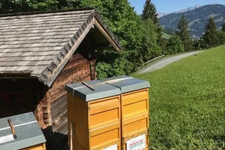 Danhauser  Bild 1
