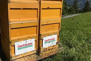 Danhauser  Bild 5