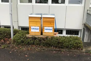 Kaltenbach Elektrotechnik Bild 0