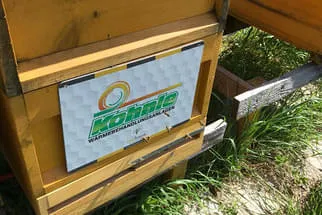 Köhnle Bild 7