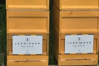 Lehrieder Bild 1