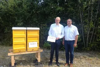 LMC Bild 2