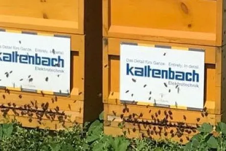 Kaltenbach-Elektrotechnik-Firmenmagazin