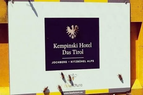 Kempinsiki-Hotel-Das-Tirol