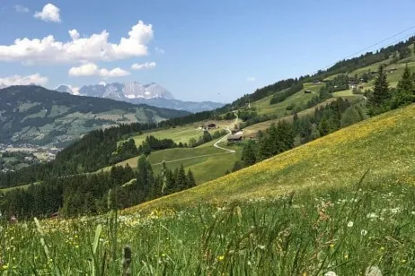 Der-Fruehling-kommt