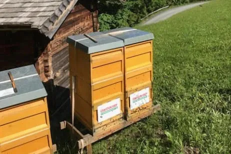 Nachhaltigkeit-grosses-Thema-bei-Danhauser-